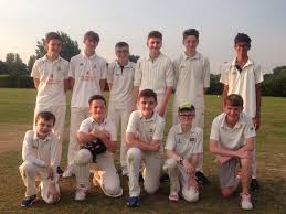 Image result for Hatfield Hyde Cricket Club