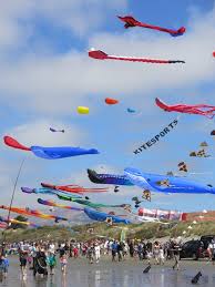 Image result for Brighton Kite Fliers
