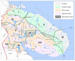 Attēlu rezultāti vaicājumam “Leiocolea heterocolpos”