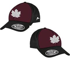 Image result for Sibton Park Cricket Club