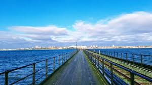 Image result for Southend-On-Sea Sc