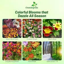 Image result for Mimulus x hybrida