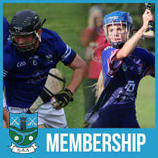 Image result for Erin`s Own Gaelic Athletic & Social Club