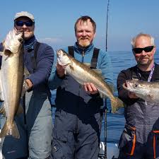Image result for Paignton Sea Anglers Association
