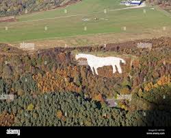 Image result for Vale Of White Horse Gliding Centre