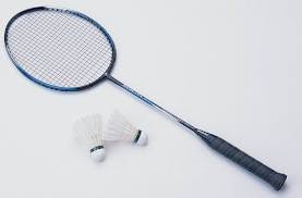 Image result for Southport Badminton Club