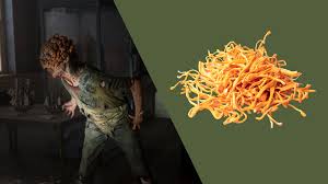 Attēlu rezultāti vaicājumam “Cordyceps”