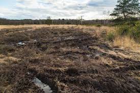 Image result for The Chobham Common Riders Association