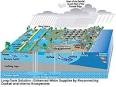 Everglades - Wikipedia, the free encyclopedia