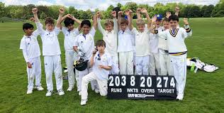 Image result for Hills Plymouth Cricket Club
