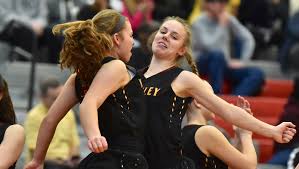 Image result for Airborne Ladies Netball Club