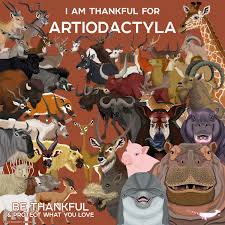 Attēlu rezultāti vaicājumam “Artiodactyla”