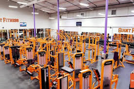 Image result for Swallows Of Helston Gym Club