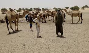 Image result for Nomads