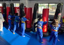 Image result for Elite Martial Arts Academy