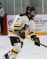 Image result for Pontypool Skater Hockey Club