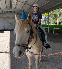 Image result for Buchan Group Riding For The Disabled