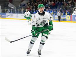 Image result for Basingstoke Bison Ice Hockey Club