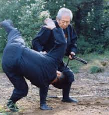 Image result for Budo Warrior Schools