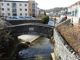 Image result for Newton Abbott Knights