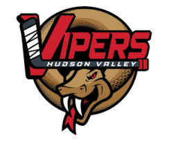 Image result for Vipers Roller Hockey Team