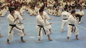 Image result for Harrow Shorinji Kempo