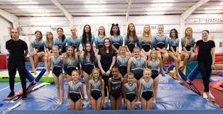 Image result for Arun Gymnastics Club