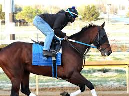 Image result for Pastures Company Of Archers, Mickleover, Derby