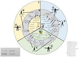 Image result for Vegetarian Cycle & Athletic Club