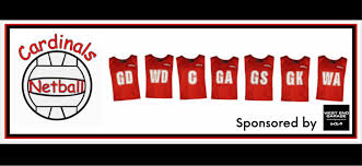 Image result for Elmbridge Netball Club