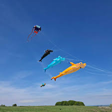 Image result for White Horse Kite Fliers Club