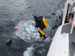 Image result for Mole Valley Sub Aqua Club