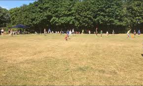 Image result for Shepherdswell Cricket Club