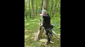 Image result for Castle Field Archers