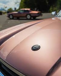 Image result for Rose Bronze 1995 Jaguar