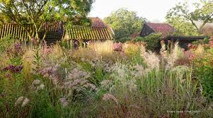 Image result for Piet Oudolf