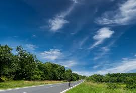 Image result for Spalding Cc