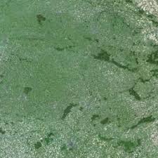 Attēlu rezultāti vaicājumam “Rabdophaga heterobia”