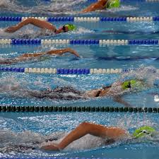 Image result for Rushmoor Royals Swimming Club