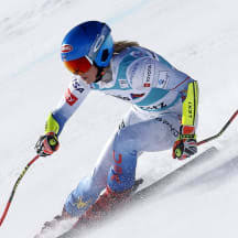 Attēlu rezultāti vaicājumam “Trichia alpina young”