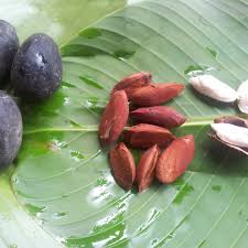 Attēlu rezultāti vaicājumam “Galium schultesii fruit”