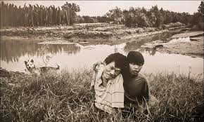 Image result for агент оранж