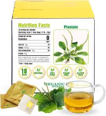 Attēlu rezultāti vaicājumam “Plantago media leaf”