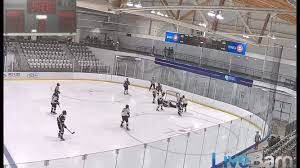 Image result for Rayleigh boys under 7's Leopards- need a Goalie!