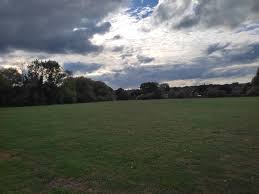 Image result for Roding Valley Cricket Club