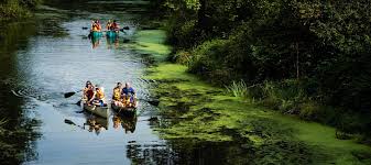 Image result for Slough