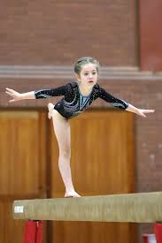 Image result for Wyre Forest School Of Gymnastics