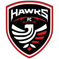 Image result for Hedingham Hawks Youth Football Club