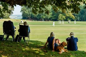 Image result for Aldwick Cricket Club