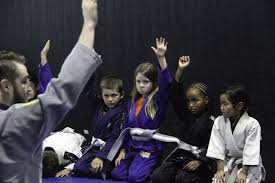 Image result for Bully Me Now Mixed Martial Arts